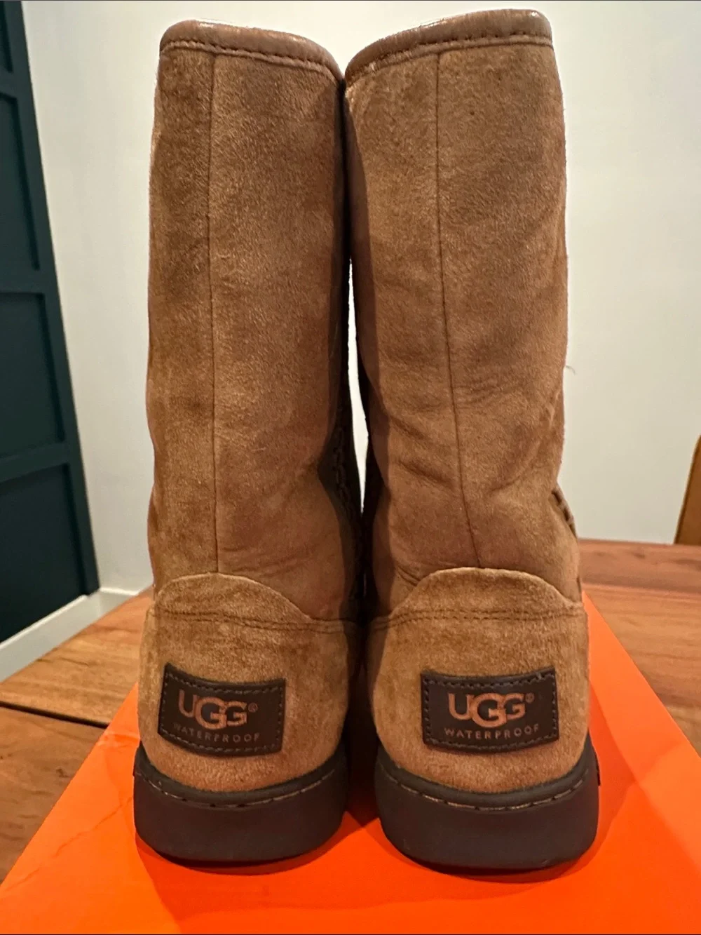 UGG Chestnut Suede Mid-Calf Waterproof Boots Waterproof